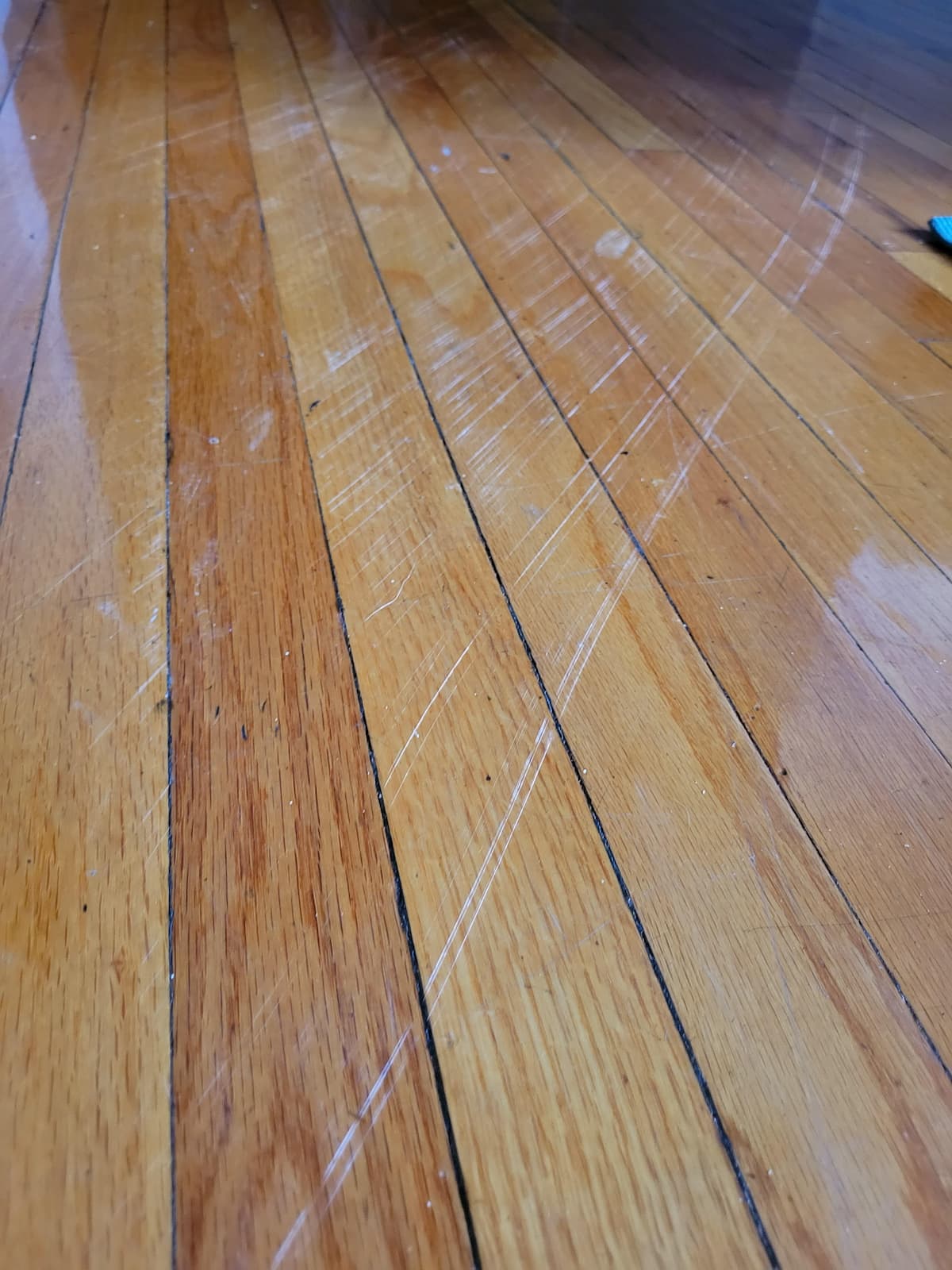 How To Avoid Scratches On Wooden Floors Quicksand Flooring